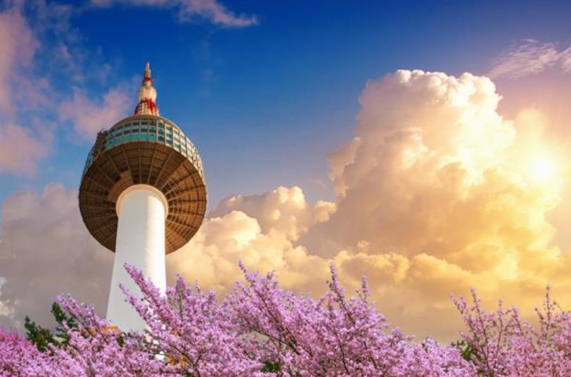 太金國際旅行社的旅遊行程介紹圖片